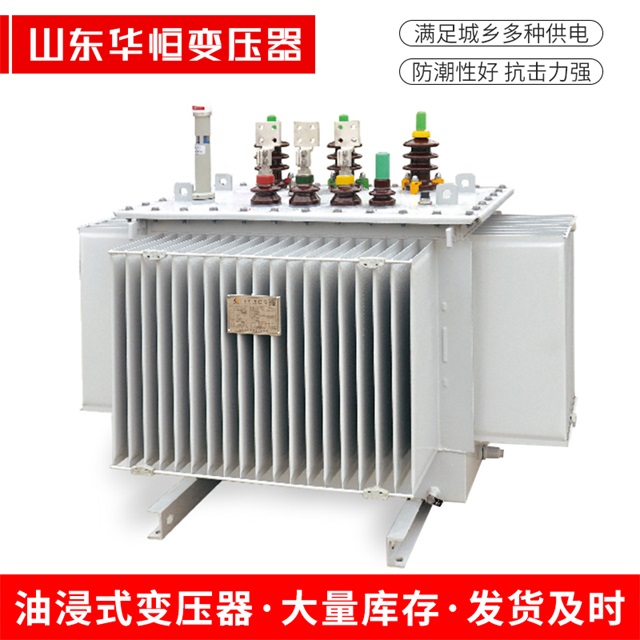 S13-10000/35安新安新安新电力变压器